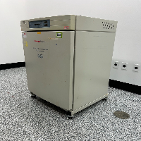 Thermo 3110 Incubator image 1